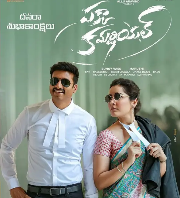 Is Pakka Commercial Hit Or Flop? Box Office Result Of Gopichand's Pakka Commercial
