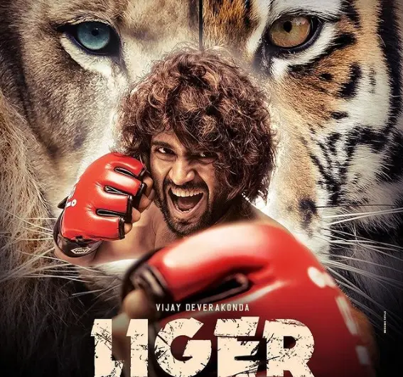 Is Liger Hit Or Flop? Box Office Result of Vijay Deverakonda's Liger